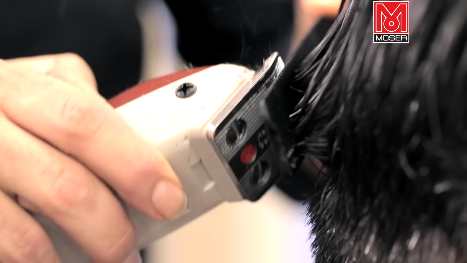 Carica video: Moser Tosatrice 1400 Kit con Pettinini