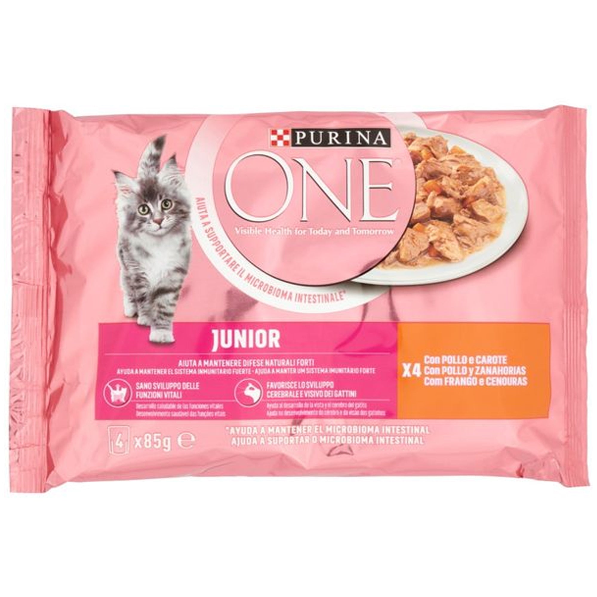 Purina One Gatto Junior Filettini 4x85gr - Pollo