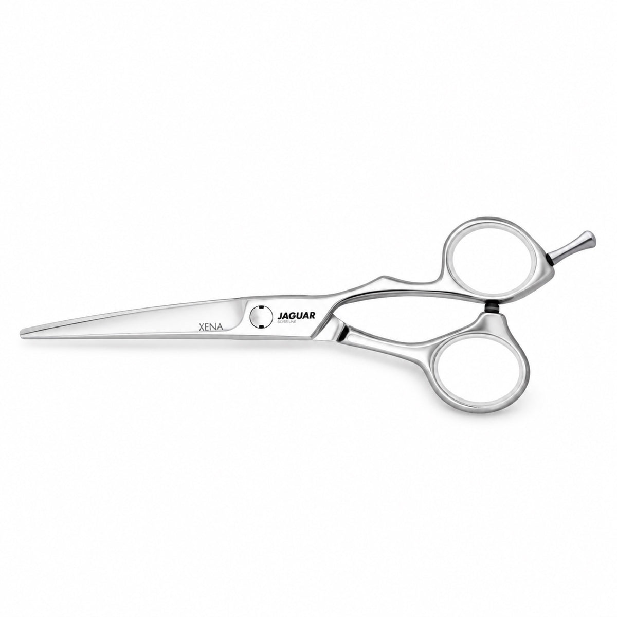 Forbici Parrucchiere Jaguar Xena 5,5" Silver Line Acciaio Inox