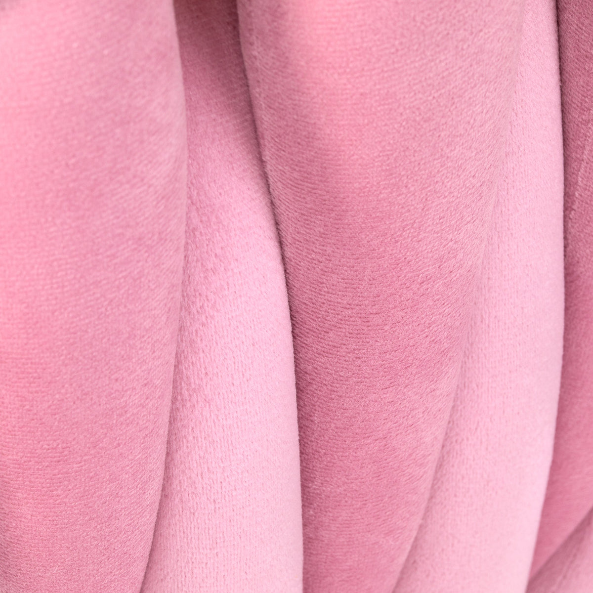 4Rico Poltrona QS-GW06G in Velluto - Rosa